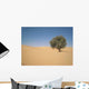 Tree Desert Dubai Wall Decal