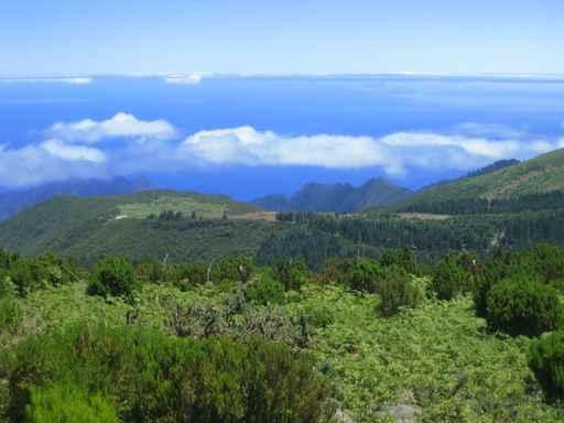 Madeira Ber Den Wolken Wall Decal