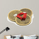 Chinese Ancient Coins