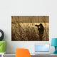 Caccia Fotografica 1 Wall Decal