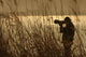Caccia Fotografica 1 Wall Decal