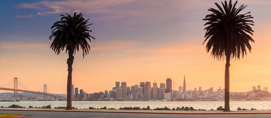 San Francisco and Bay Wall Mural
