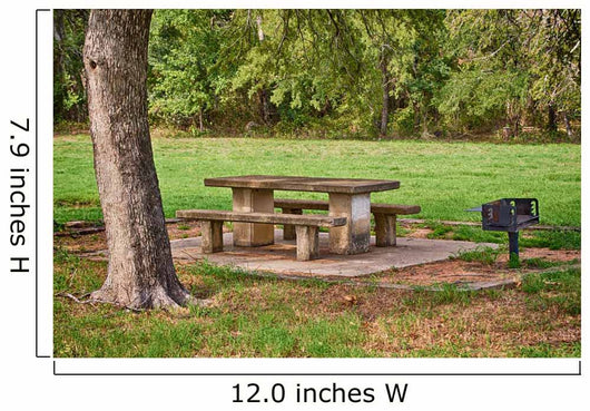 Picnic Area with Table Wall Decal