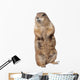 Prairie dog Wall Decal
