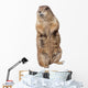Prairie dog Wall Decal