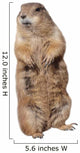 Prairie dog Wall Decal