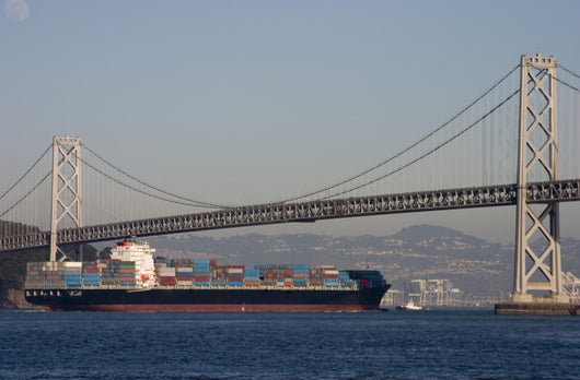 Container Ship under Bridge Wall Mural