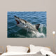 Great white shark Wall Mural