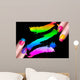 Red Nail Polish and Mineral Colorful Eye Shadow Wall Mural