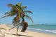 Tropical Coastal Wall Decal