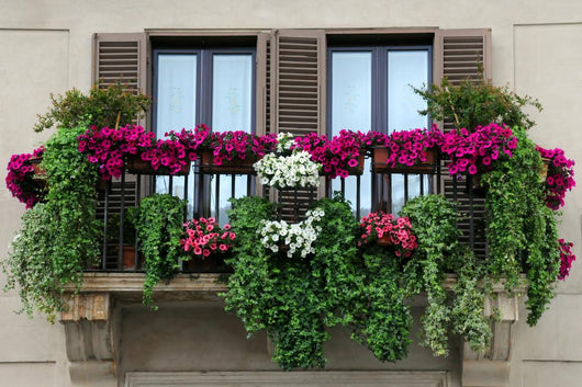 Garden Balcony