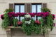 Garden Balcony