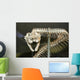Snake Skeleton Wall Decal