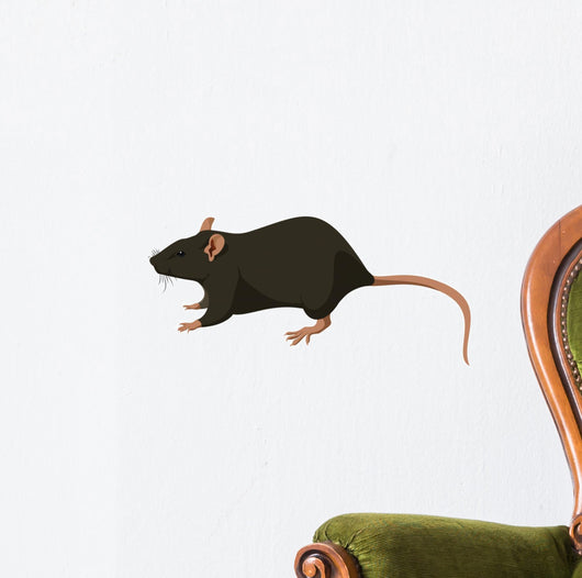 Rat Wall Decal