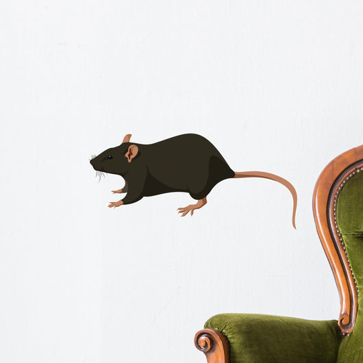 Rat Wall Decal
