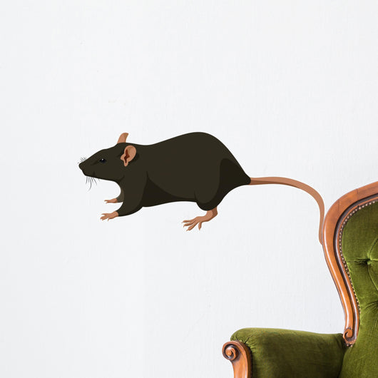 Rat Wall Decal