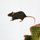 Rat Wall Decal