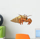 Hermit Crab Wall Decal