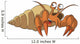 Hermit Crab Wall Decal