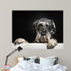 Schnauzer Dog Bathtub