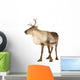 Reindeer 2 Years Wall Decal