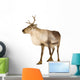Reindeer 2 Years Wall Decal