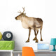 Reindeer 2 Years Wall Decal