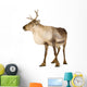 Reindeer 2 Years Wall Decal