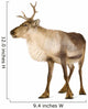 Reindeer 2 Years Wall Decal