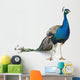 peacock Wall Decal