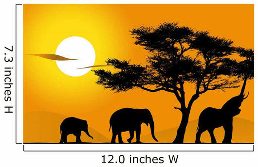 Afrique 3 La Phants