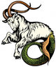 Capricorn Wall Decal