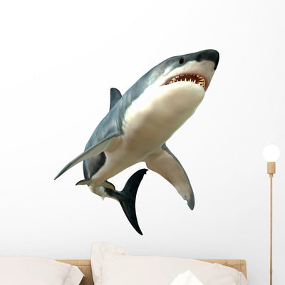 Great White Shark Wall Decal shown on a wall