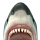Great White Shark Jaws Wall Decal