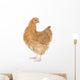 Orpington Chicken Wall Decal
