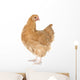 Orpington Chicken Wall Decal