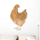 Orpington Chicken Wall Decal