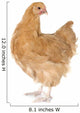 Orpington Chicken Wall Decal