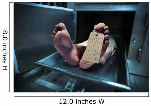Feet on a morgue table with toe tag with dramatic lighting Wall Mural