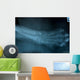 Wild Cat Foot X Ray Wall Decal