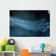 Wild Cat Foot X Ray Wall Decal