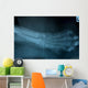 Wild Cat Foot X Ray Wall Decal