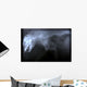 Wild Cat X Ray Wall Decal