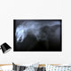 Wild Cat X Ray Wall Decal