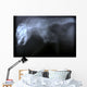 Wild Cat X Ray Wall Decal