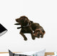 Two Chocolate Labrador Retriever Brothers Wall Decal