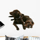 Two Chocolate Labrador Retriever Brothers Wall Decal