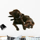 Two Chocolate Labrador Retriever Brothers Wall Decal