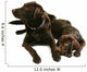 Two Chocolate Labrador Retriever Brothers Wall Decal