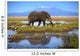 Elephant Pool Kilimanjaro